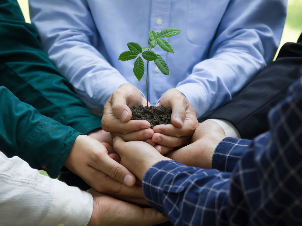 Pilares do ESG: entenda o que são e como funcionam dentro da organização