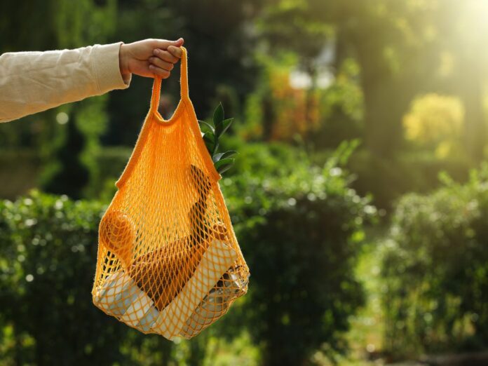 Saiba mais sobre o Dia do Consumo Consciente e veja reflexões sobre o consumo sem limites e seu impacto no meio ambiente.