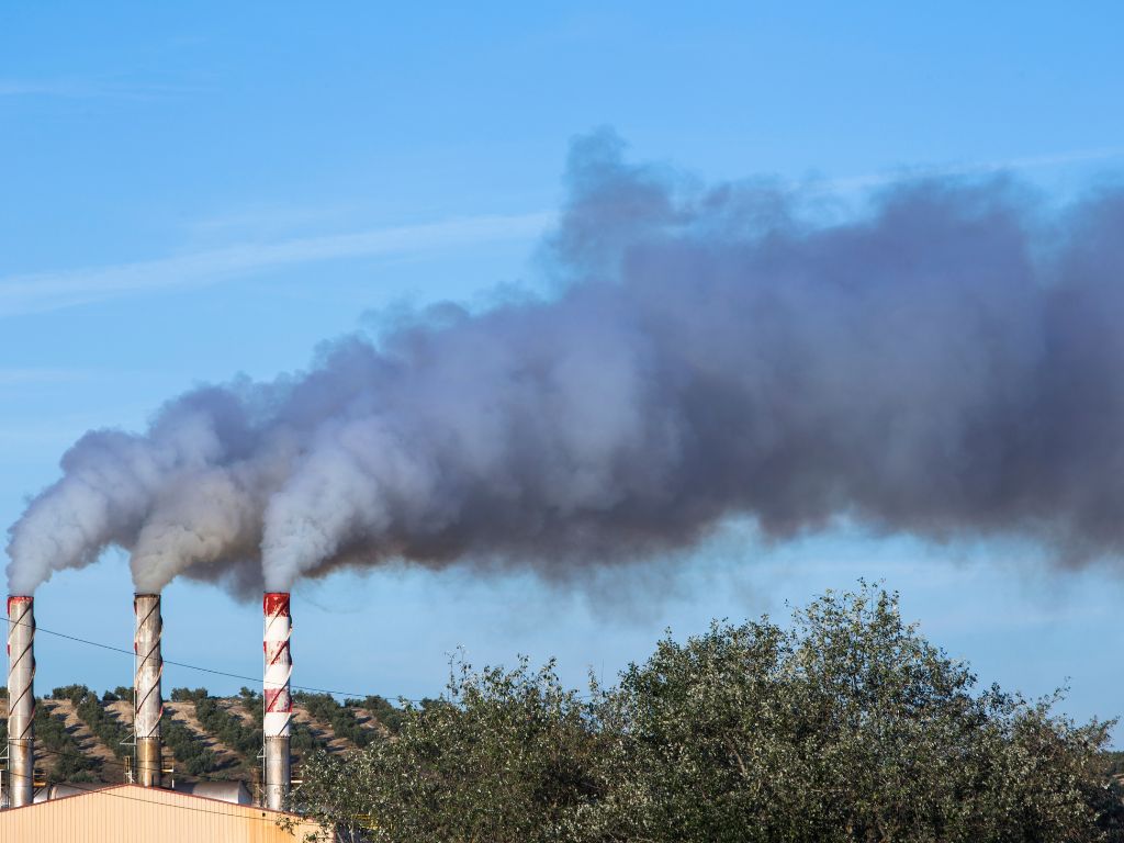 Gases de efeito estufa: o que são e como fazer a sua parte na empresa