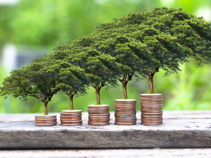 Neste conteúdo, trouxemos para você o que é sustentabilidade econômica e como ela pode ser um grande fator para a sua empresa crescer